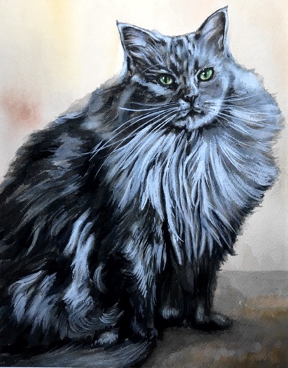 Longhaired Cat