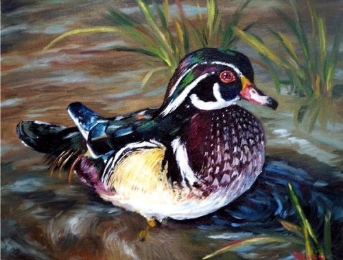Wood Duck Painting