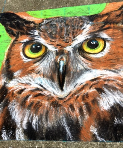 Great Horned Owl Chalk
